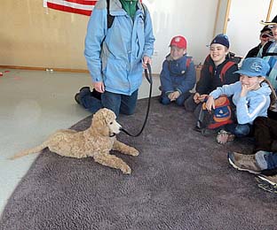 Berris erster Auftrag als Pädagogik-Hund in einer Schulklasse